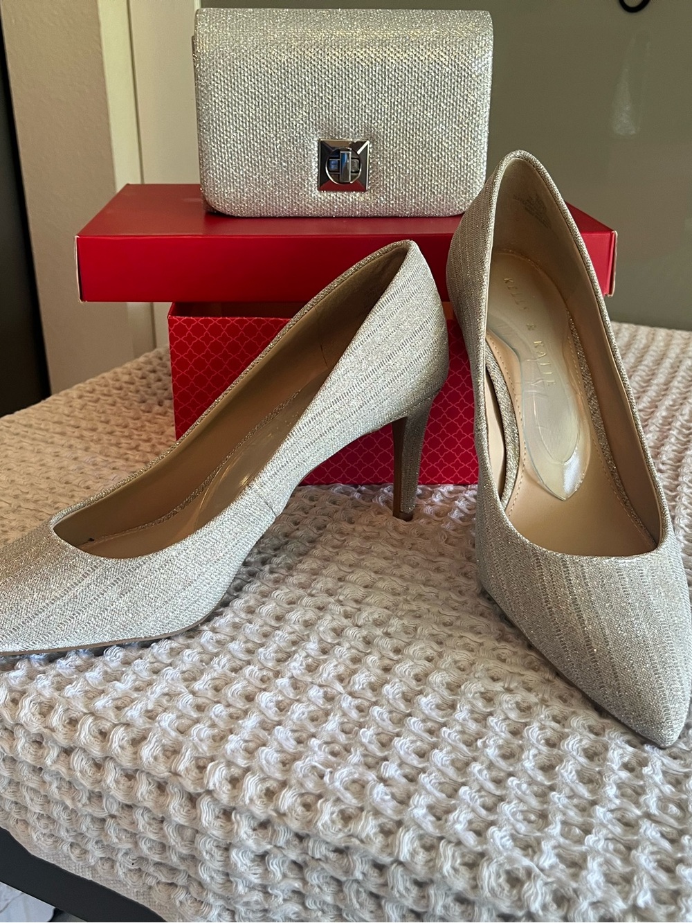 Elegant Women's Silver Glitter Pointed-Toe Pumps and small clutch 170 167